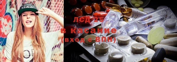 шишки Алзамай